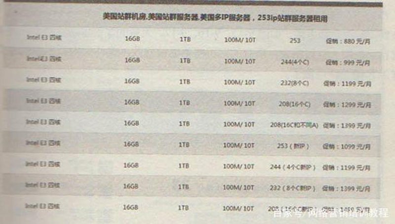 算法更新周期缩短，站群系统凭什么仍是SEO的关键变量？